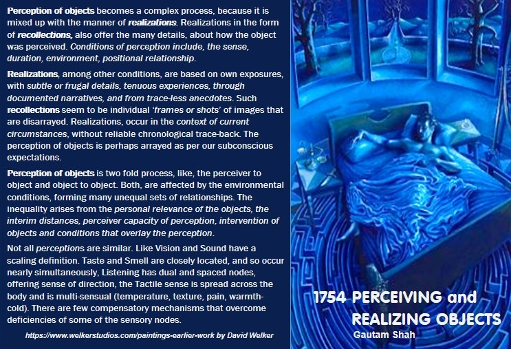 1754 PERCEIVING and REALIZING OBJECTS